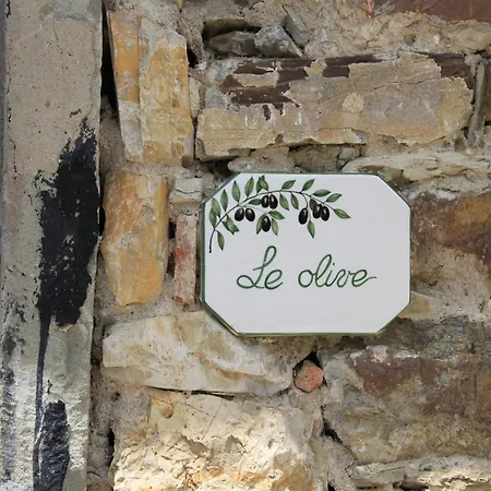 Belvilla By Oyo Le Olive * Vaglia (Tuscany)