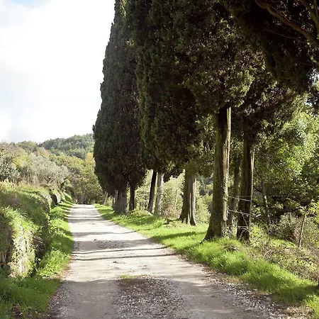 Belvilla By Oyo Le Olive * Vaglia (Tuscany)